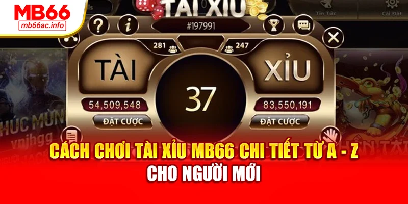 Cách Chơi Tài Xỉu MB66 Chi Tiết Từ A - Z Cho Người Mới