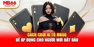 Cách Chơi Xì Tố MB66 Dễ Áp Dụng Cho Người Mới Bắt Đầu