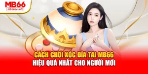 Cách Chơi Xóc Đĩa Tại MB66 Hiệu Quả Nhất Cho Người Mới