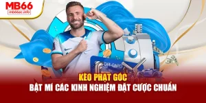 Kèo Phạt Góc – Bật Mí Các Kinh Nghiệm Đặt Cược Chuẩn