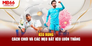 Kèo Rung – Cách Chơi Và Các Mẹo Bắt Kèo Luôn Thắng